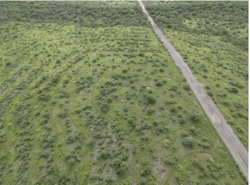 area verde en el dia mundial del medio ambiente holcim